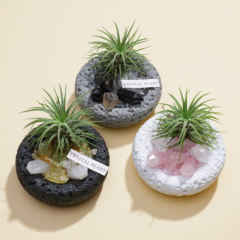 🌿✨ [Natural Crystal Aromatherapy Diffuser Stone Set] - Energy, fragrance, vitality, a trinity of healing aesthetics