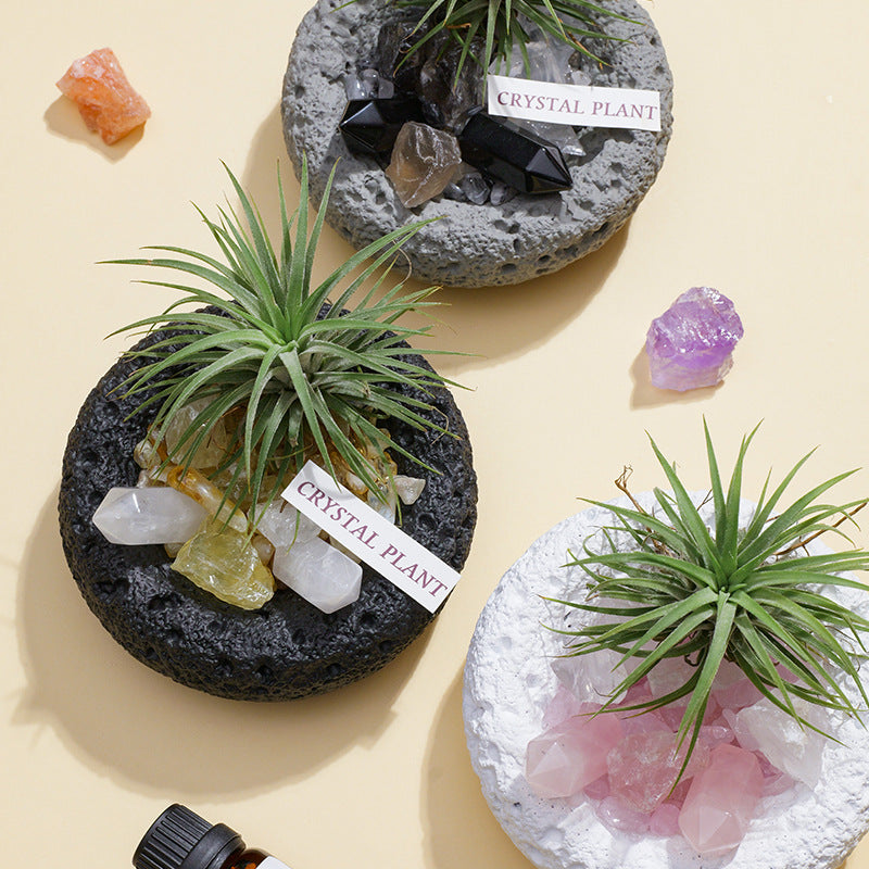 🌿✨ [Natural Crystal Aromatherapy Diffuser Stone Set] - Energy, fragrance, vitality, a trinity of healing aesthetics